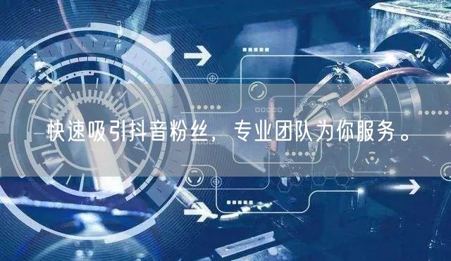快速吸引抖音粉丝，专业团队为你服务。