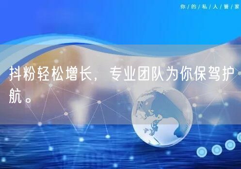 抖粉轻松增长，专业团队为你保驾护航。