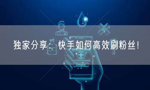 独家分享：快手如何高效刷粉丝！
