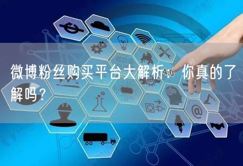 微博粉丝购买平台大解析：你真的了解吗？