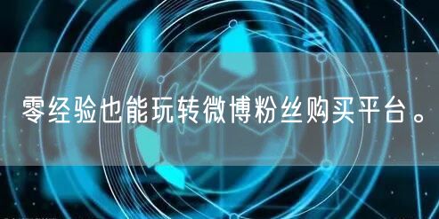 零经验也能玩转微博粉丝购买平台。