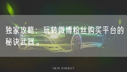 独家攻略：玩转微博粉丝购买平台的秘诀武器。