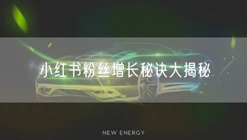 小红书粉丝增长秘诀大揭秘