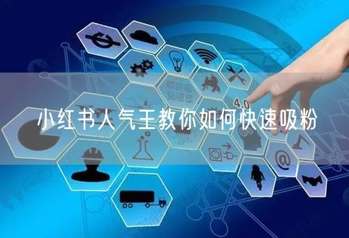 小红书人气王教你如何快速吸粉