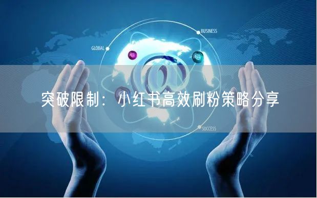 突破限制：小红书高效刷粉策略分享