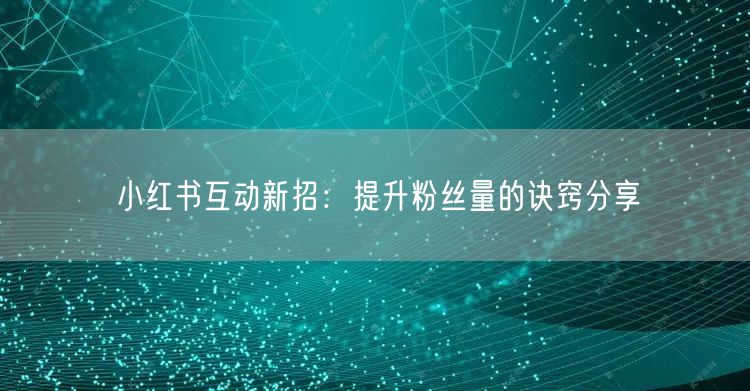小红书互动新招：提升粉丝量的诀窍分享