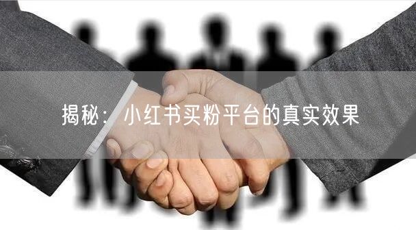 揭秘：小红书买粉平台的真实效果