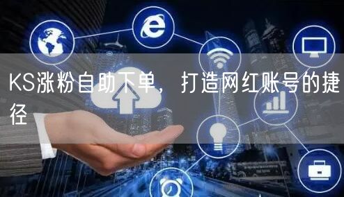 KS涨粉自助下单，打造网红账号的捷径