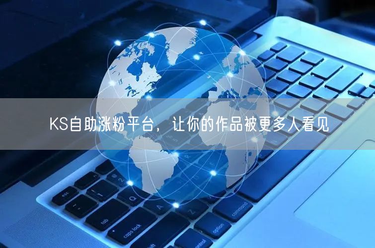 KS自助涨粉平台，让你的作品被更多人看见