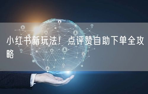 小红书新玩法！点评赞自助下单全攻略