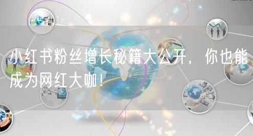 小红书粉丝增长秘籍大公开，你也能成为网红大咖！