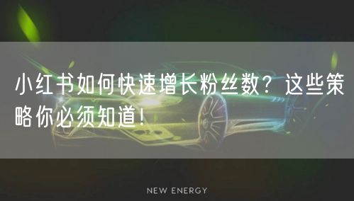 小红书如何快速增长粉丝数？这些策略你必须知道！