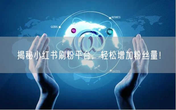 揭秘小红书刷粉平台，轻松增加粉丝量！