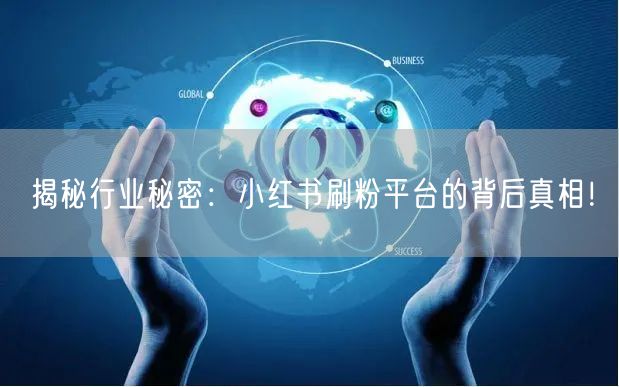 揭秘行业秘密：小红书刷粉平台的背后真相！