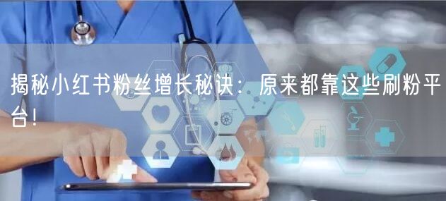 揭秘小红书粉丝增长秘诀：原来都靠这些刷粉平台！