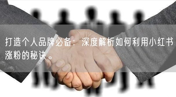 打造个人品牌必备：深度解析如何利用小红书涨粉的秘诀。