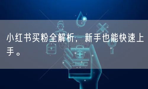 小红书买粉全解析，新手也能快速上手。