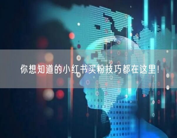 你想知道的小红书买粉技巧都在这里！