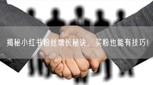 揭秘小红书粉丝增长秘诀，买粉也能有技巧！