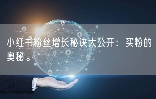 小红书粉丝增长秘诀大公开：买粉的奥秘。