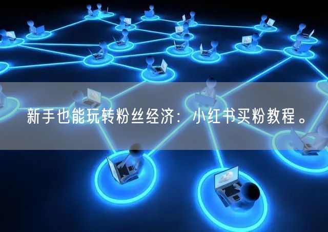 新手也能玩转粉丝经济：小红书买粉教程。