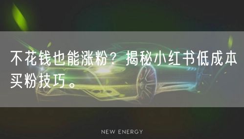不花钱也能涨粉？揭秘小红书低成本买粉技巧。
