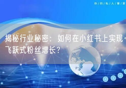 揭秘行业秘密：如何在小红书上实现飞跃式粉丝增长？