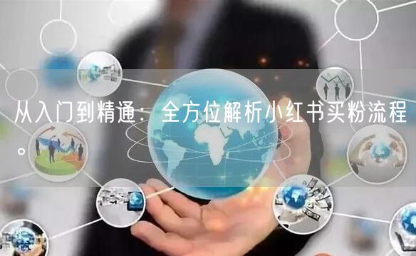 从入门到精通：全方位解析小红书买粉流程。