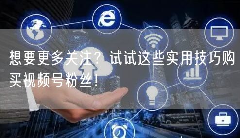 想要更多关注？试试这些实用技巧购买视频号粉丝！