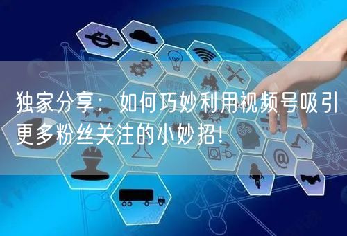 独家分享：如何巧妙利用视频号吸引更多粉丝关注的小妙招！