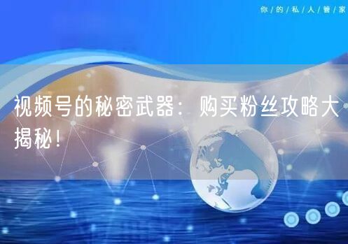 视频号的秘密武器：购买粉丝攻略大揭秘！
