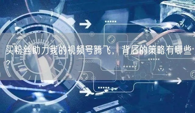 买粉丝助力我的视频号腾飞，背后的策略有哪些？